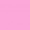 Chicle